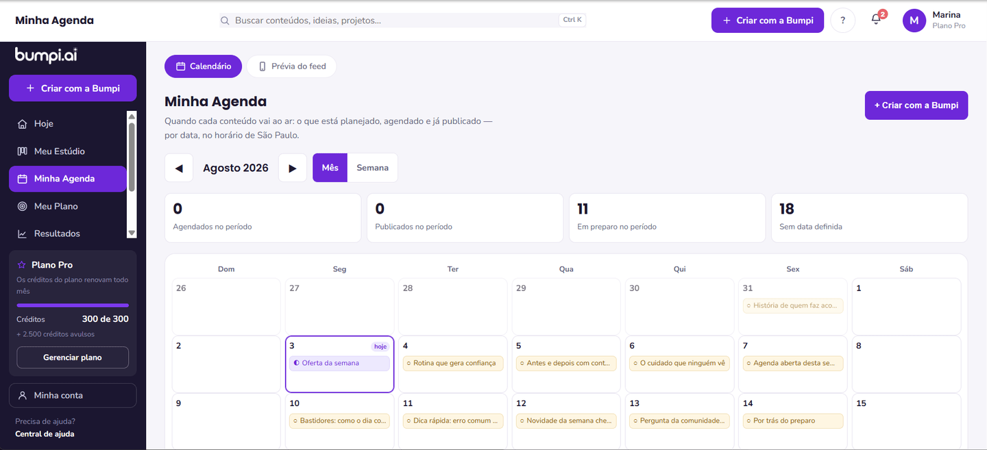 Minha Agenda da Bumpi: calendário do mês com os conteúdos planejados por dia e o resumo de agendados, publicados e em preparo